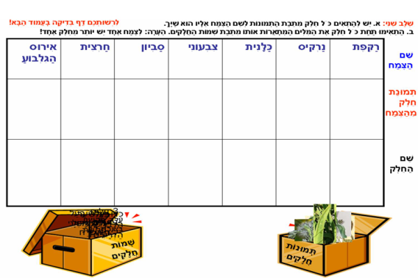 משימת המחשב 2: התאם את תמונת חלק הצמח ושמו לצמח הנכון. 